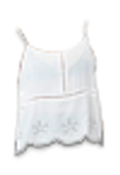 Embroidered Sleeveless Top